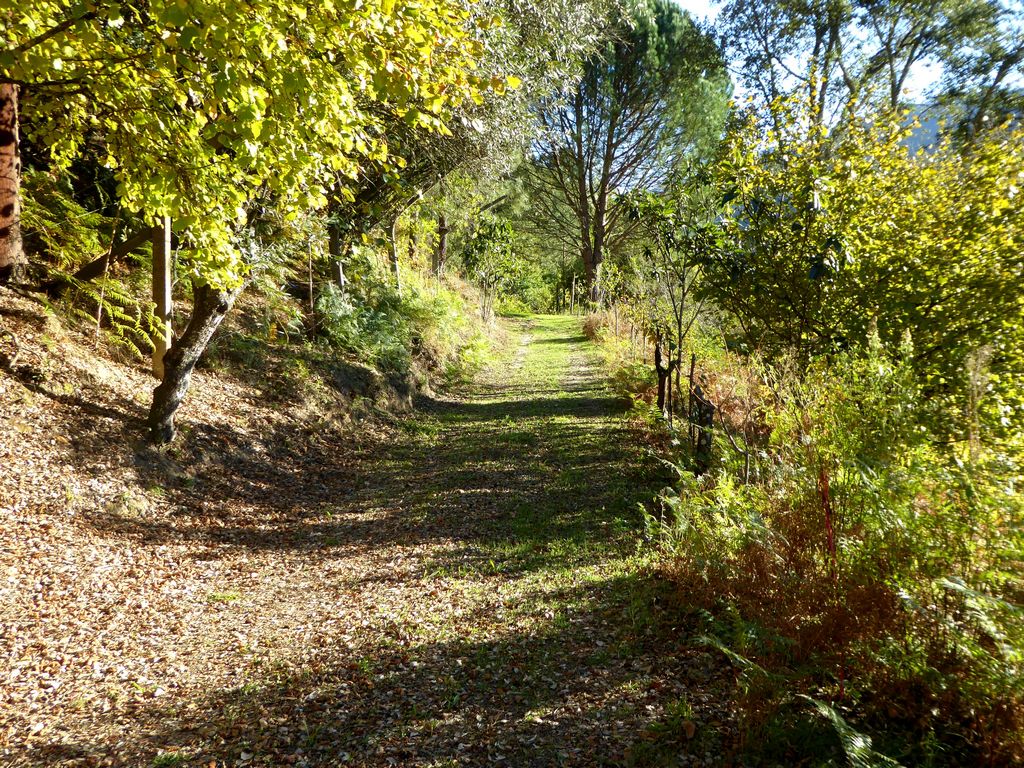 Farm